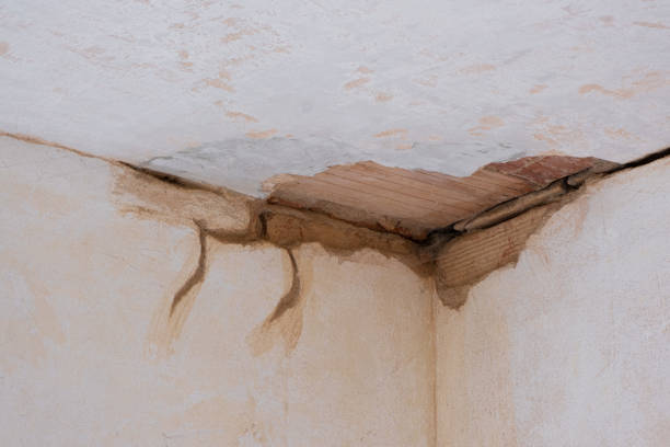 Best Water damage cleanup near me  in Trumbull Center, CT