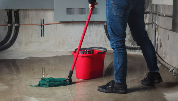 Best Mold removal after water damage  in Trumbull Center, CT